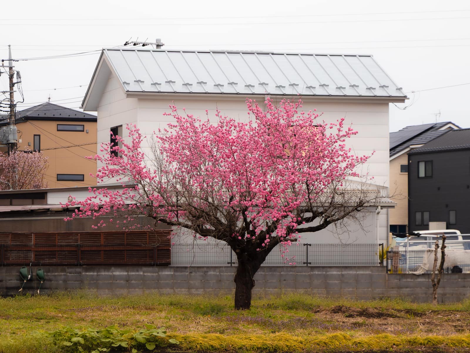 Landscape photograph 6